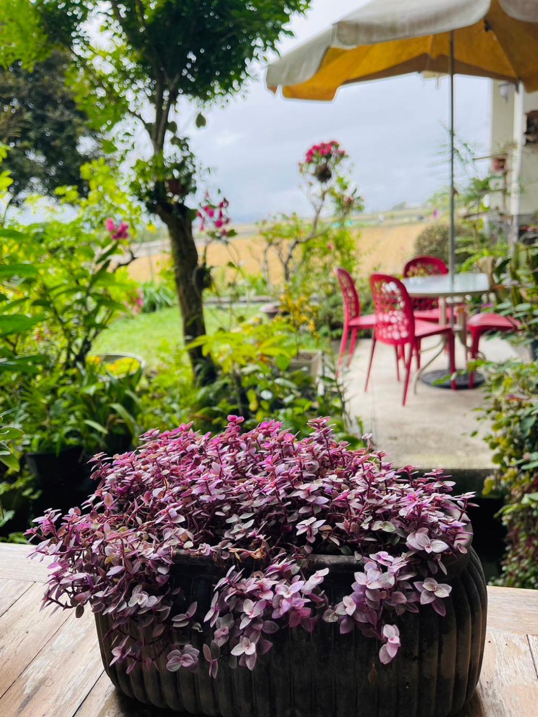 Xian Qing Yu Zhi Homestay Chishang Eksteriør bilde